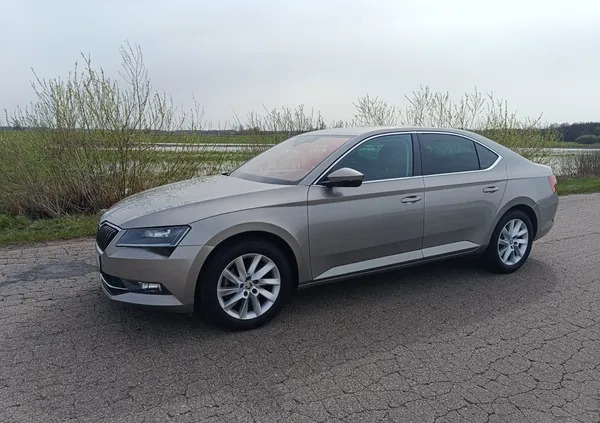 skoda superb wyszków Skoda Superb cena 79900 przebieg: 200234, rok produkcji 2017 z Wyszków
